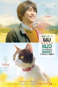 The Travelling Cat Chronicles ผม แมว และการเดินทางของเรา