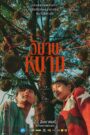 The Paradise of Thorns วิมานหนาม